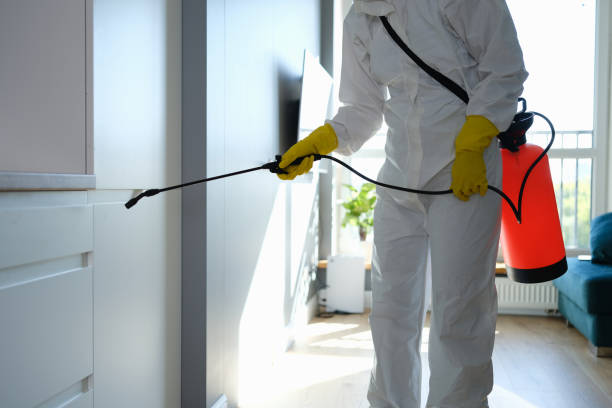 Best Mold Cleaning Services  in Palos Heights, IL
